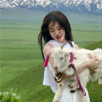 吧女斯黛拉
